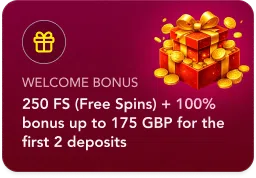 SpinobonCard (2)