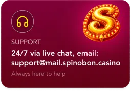 SpinobonCard (4)
